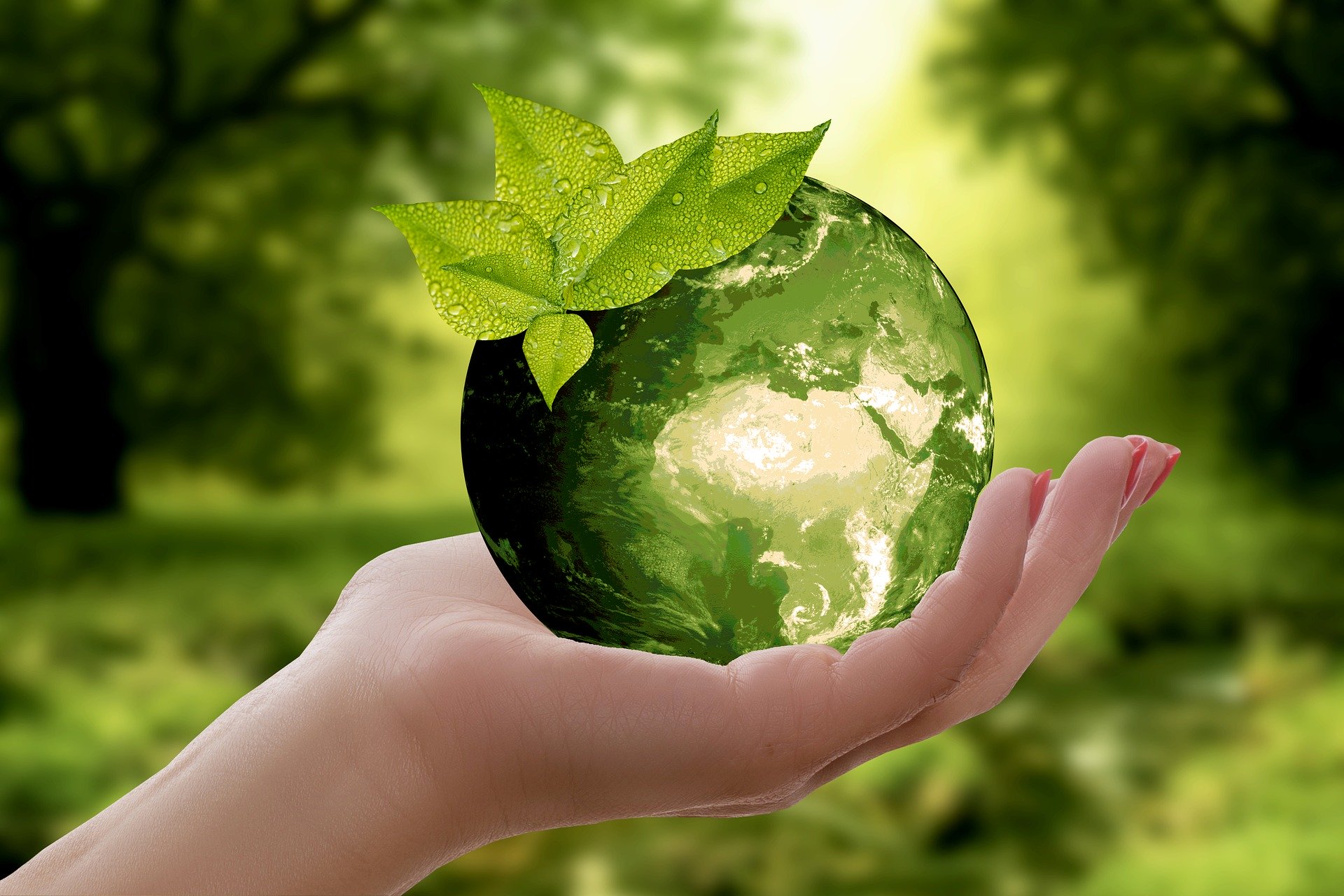 Recycling